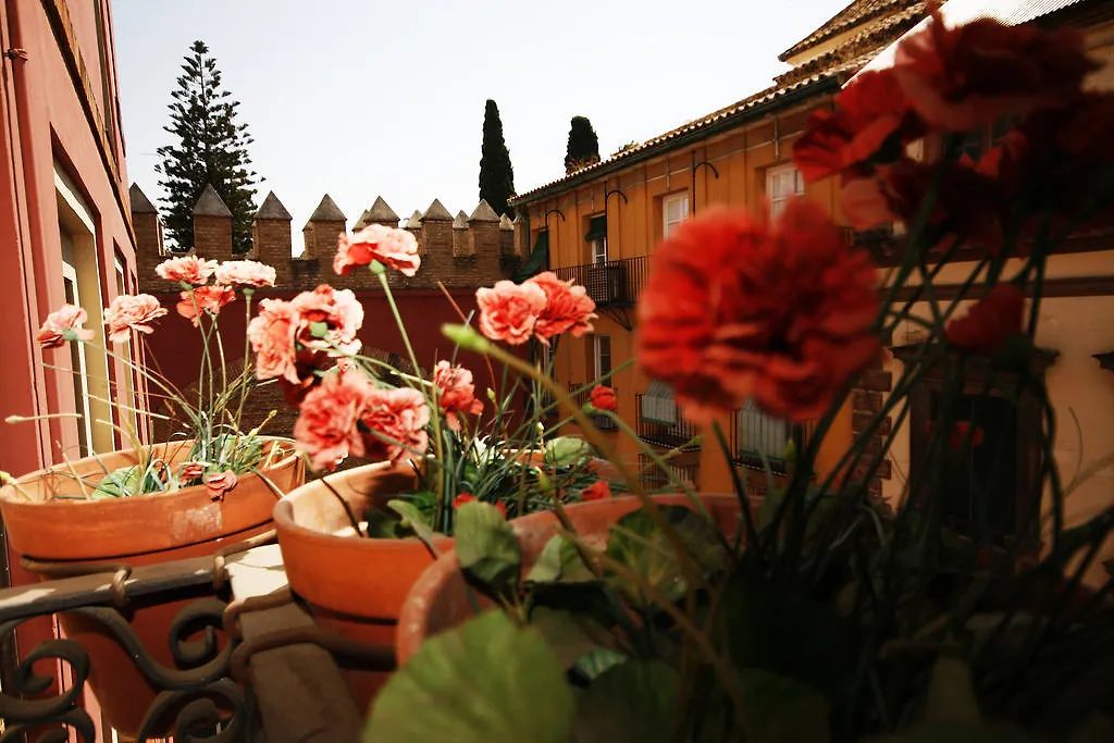 Apartment Hostal Van Gogh Seville Spain