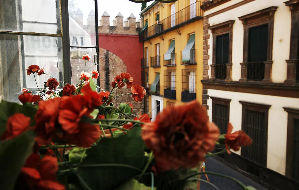 Hostal Van Gogh Seville Apartment